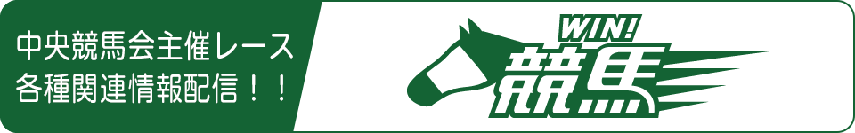 WIN競馬